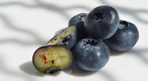 Врач назвала самые полезные летние ягоды. Диетолог перечислила самые полезные для здоровья ягоды 03