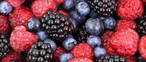 Какие ягоды. Различные виды ягод с фотографиями, краткое описание разновидностей