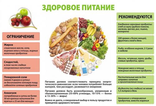 Продукты сбалансированного питания для здоровья и красоты. Важность здорового питания 10