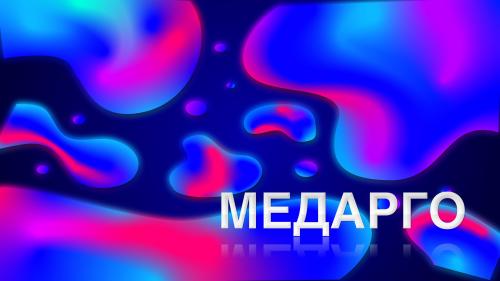 Синяя слива польза. Ягоды, стоящие особняком. Какие полезные тайны скрывают сливы