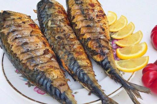 Какие блюда можно приготовить из рыбы на огне. 12 рецептов рыбы на мангале для настоящих гурманов