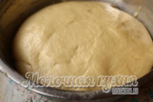 Тесто в хлебопечке для булочек. Нежное сдобное тесто для булочек — идеальный, самый вкусный рецепт на молоке