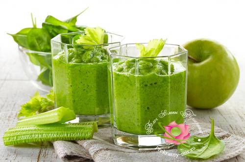 Что можно приготовить в блендере из фруктов. Рецепты самых вкусных и сочных фруктовых смузи — разные варианты шейков в любое время