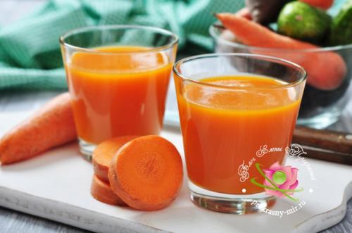 Овощные смузи в блендере. 25 рецептов овощных смузи для блендера — витамины в собственном соку!