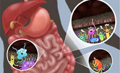 Почему важно поддерживать здоровую микрофлору и как это сделать правильно 05