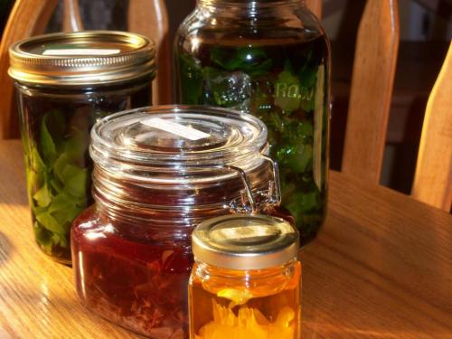 Какие пусские ингредиенты являются настоящими секретами здоровья и красоты 03