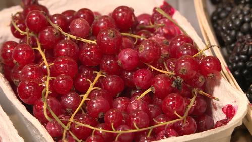 В чем уникальность витамина C, содержащегося в цитрусовых. Названы 6 неожиданных продуктов с высоким содержанием витамина C