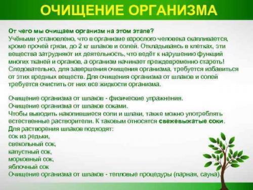 Детокс программа на 10 дней. Детокс диета