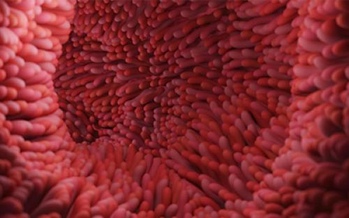 Как влияют на вес алкоголь и сладкие напитки в зрелом возрасте. Как алкоголь влияет на увеличение веса