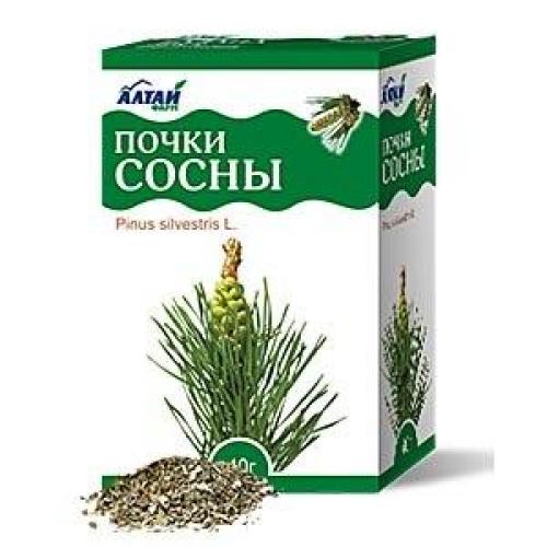 Сосновая профилактика от гриппа и простуды. Сосновая профилактика от гриппа и простуды.