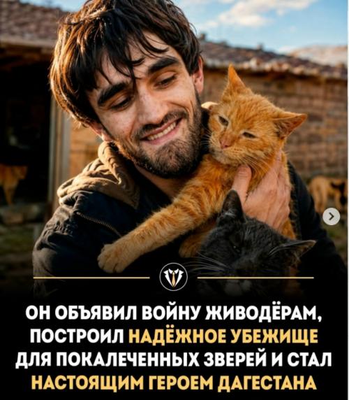 Отношение к беззащитным животным - самый точный и честный индикатор зрелости и морального здоровья любого общества. 
