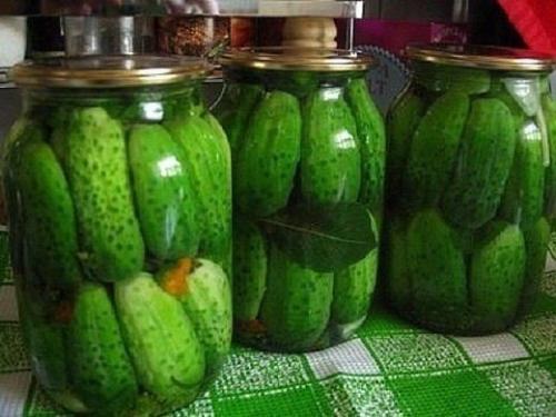 Варианты заготовок огурцов.