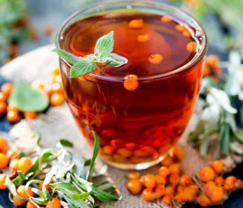 Чай из веток облепихи: не вкусно, но как полезно.