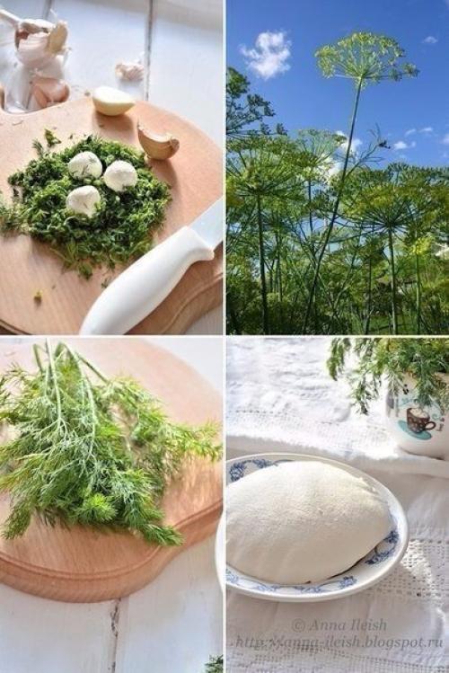 Творожный сыр из сметаны и кефира. 01