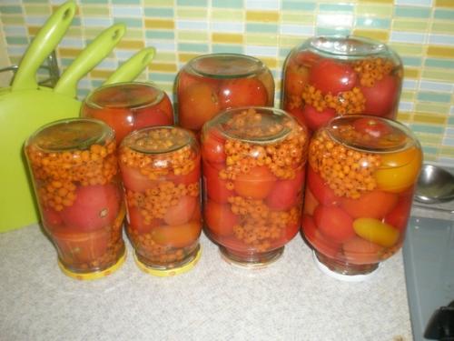 Консервированные помидоры с рябиной. Консервированные помидоры с рябиной.