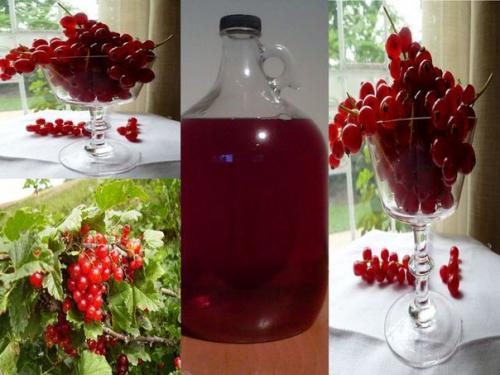 Рис с курицей в горшочках? 
ок 155 ккал /100 гр Ингредиенты: 
Окорочок куриный - 1 шт, Морковь - 1 шт, Лук репчатый - 1 шт, Рис - 6 ст.  