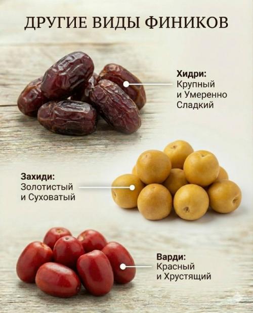 Финики - это не просто 
