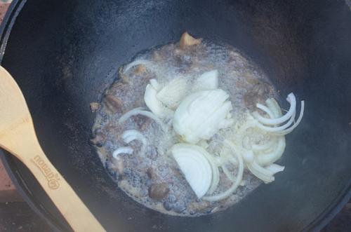 Палови.  Традиционное блюдо народов средней Азии, а в переводе - это плов! 02