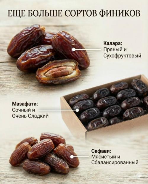 Финики - это не просто Сладко. 03