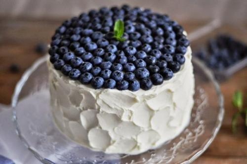 Шоколадный торт с черничным муссом. 01 Шоколадный торт с черничным муссом. 01