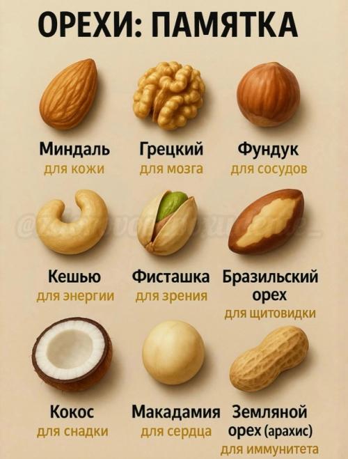 Орехи - это простой и вкусный способ добавить больше пользы в рацион. 
