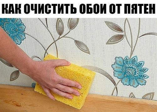 6 простых способов очистить обои от пятен.