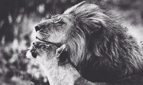 В мужчине важна мудрость, а не богатство.