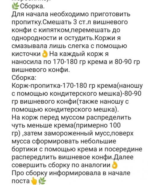 Шоколадныи Медовик с вишневым конфи, вишневым муссом и заварным кремом на основе сметаны и молока с творожным сыром. 05