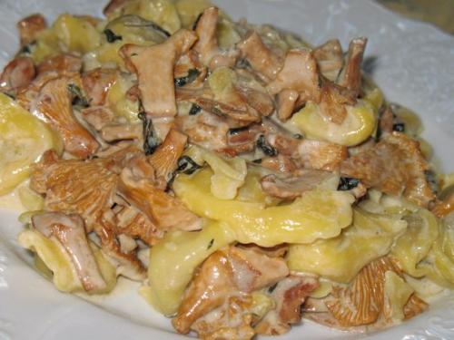 10 рецептов приготовления блюд из грибов. 05