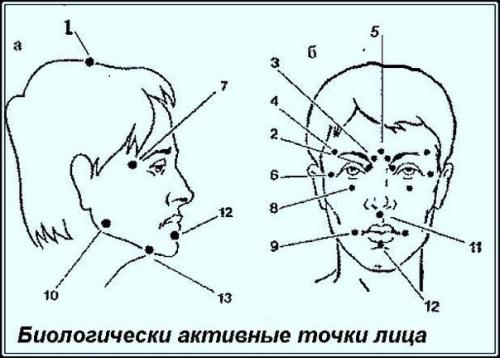 Совет дня. Активные точки на голове - ваша скорая помощь биологически! Совет дня. Активные точки на голове - ваша скорая помощь биологически!