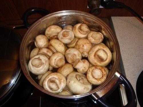 Мясо в сырном соусе. 02