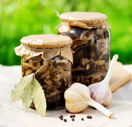 Заливное из креветок.