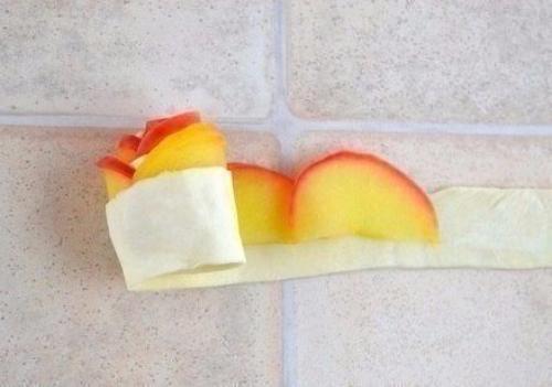 Сойки с яблоками Розочки. 04 Сойки с яблоками Розочки. 04