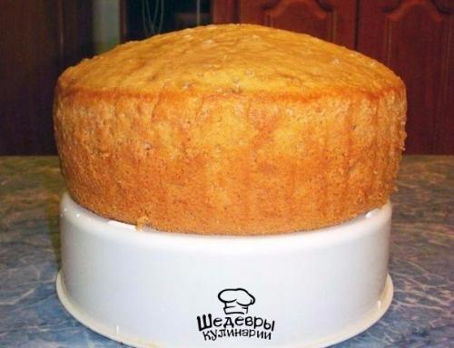 Самые популярные рецепты бисквитов?