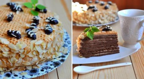 Шоколадный медовик Спартак.