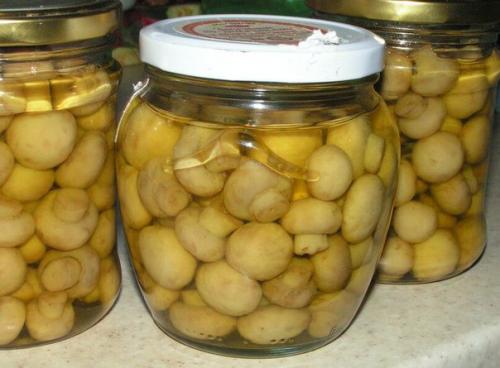 Маринованные шампиньоны 