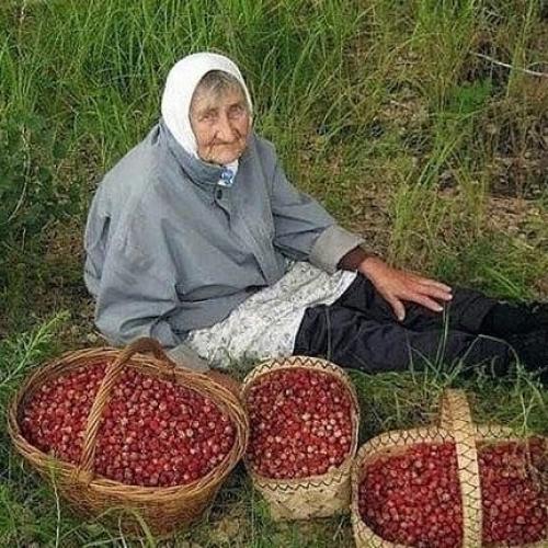 Бабушки - самые добрые и заботливые люди в мире. 03