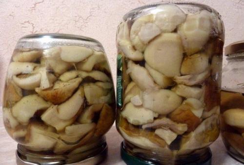 8 заготовок грибов. 01