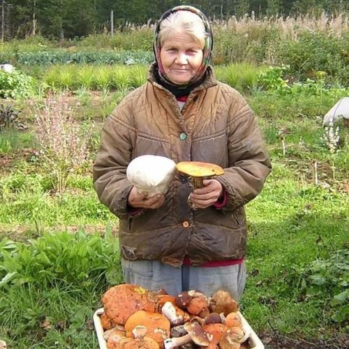 Бабушки - самые добрые и заботливые люди в мире. 02