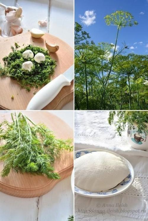 Творожный сыр из сметаны и кефира. 01