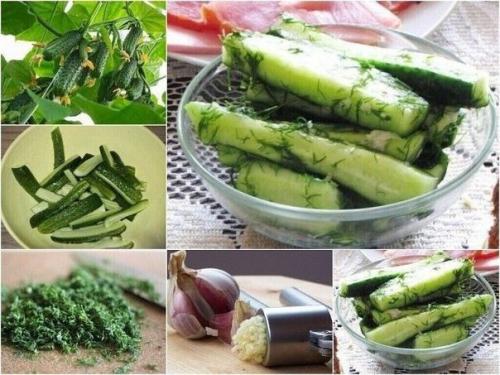 Вкусный рецепт малосольно - маринованных огурчиков.