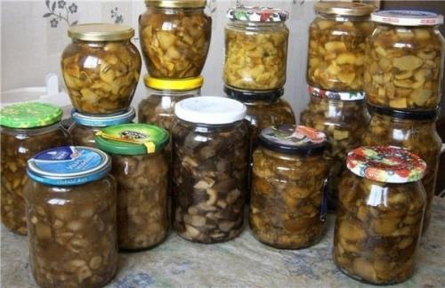 Целых 10 очень вкусных закаток на зиму из грибочков!