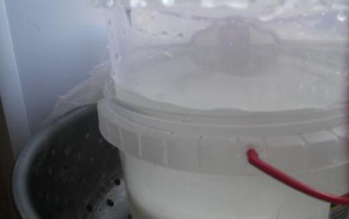 Домашний адыгейский сыр. 06