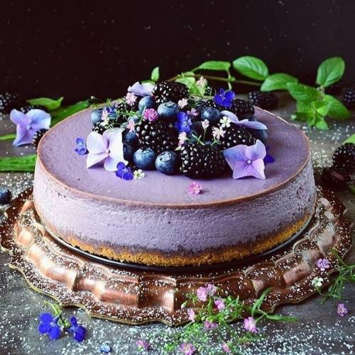 Самый черничный чизкейк. 01 Самый черничный чизкейк. 01