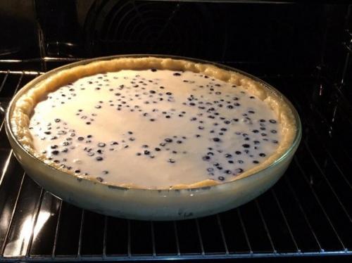 Сметанник с черникой. 01 Сметанник с черникой. 01