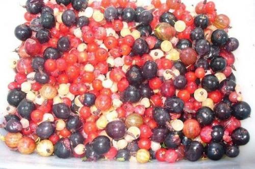 Маффины на кефире со смородиной Чудо - Ягодка. 01 Маффины на кефире со смородиной Чудо - Ягодка. 01