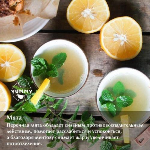 Все знают: если простыл, надо пить горячий чай с лимоном или молоко с медом.