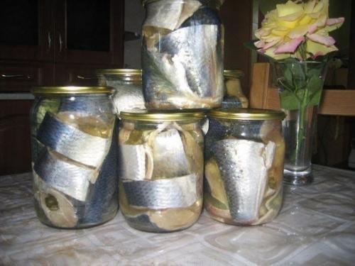 Топ рецепты с рыбой. 03