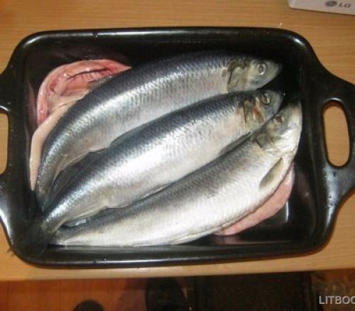 Сeльдь пряного посола. 05 Сeльдь пряного посола. 05