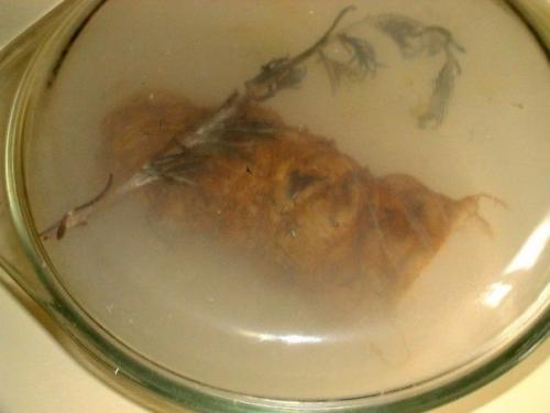 Рулет куриный. Невероятно вкусный куриный рулет, вместо опостылой покупной колбасы!